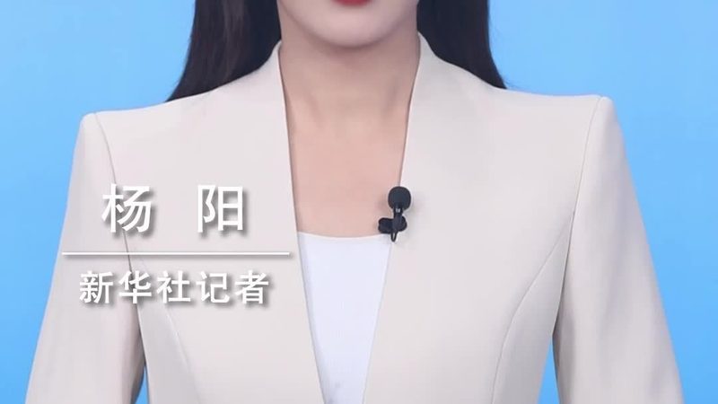 数据湖与数据仓库：揭秘两者技术差异与适用场景